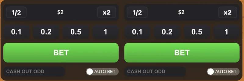 Flappy Rise dual bet controls panel showing two independent bet panels side by side